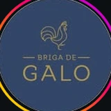 Logo Briga de Galo